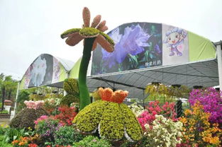 园艺秀 释放吧 5月花季陪你high翻天