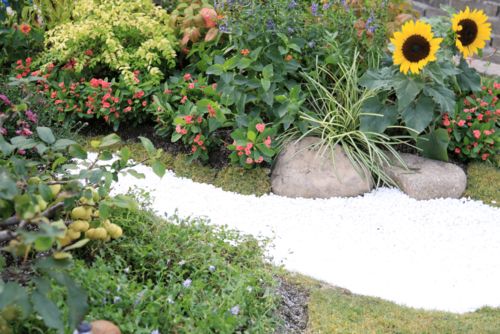 我市2人获得无锡市园林绿化行业花卉园艺工技能竞赛 优秀选手 称号