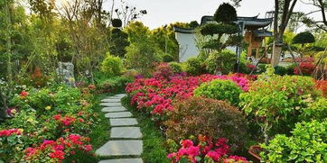 福建 花花世界 惊艳世界园艺博览会 漳浦鲜花绽放