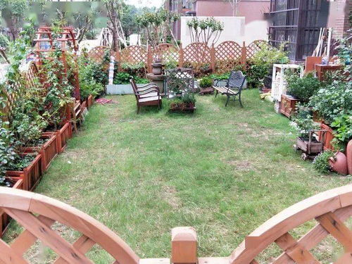 造园秀 黄先森的浪漫花园,园艺像一束光,照亮了我们的生活