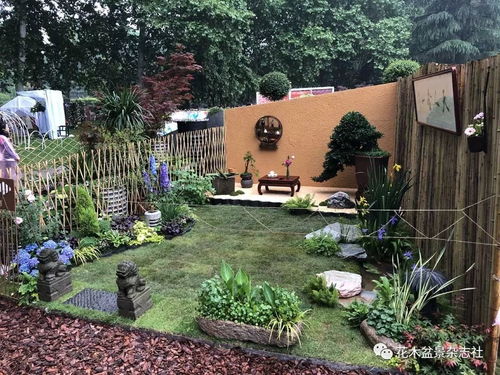 花木盆景年度榜单 2019年花卉园艺锦绣榜