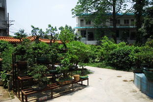 园林类专业和实训中心介绍