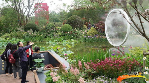 聚焦花博会 花卉园艺大比拼 燕赵芳华 花正香