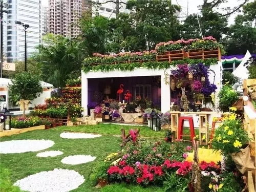 98 的花友不愿意看的文章,怕自己会放弃养花