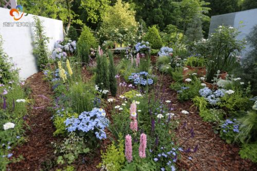 把花园搬回家 家庭园艺展又来啦