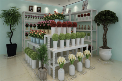 植彩坊园艺_植彩坊园艺费用多少_怎么样