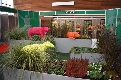 海量图片 60张 带你亲临荷兰国际花卉园艺展 iftf 疫情后首秀 每周国际花讯