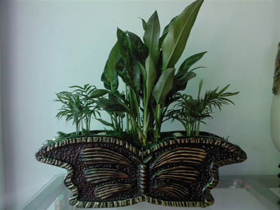 武汉花卉租摆价格-武汉市江岸区一方绿花卉园艺经营部提供武汉花卉租摆价格的相关介绍、产品、服务、图片、价格花卉租摆;绿植租摆