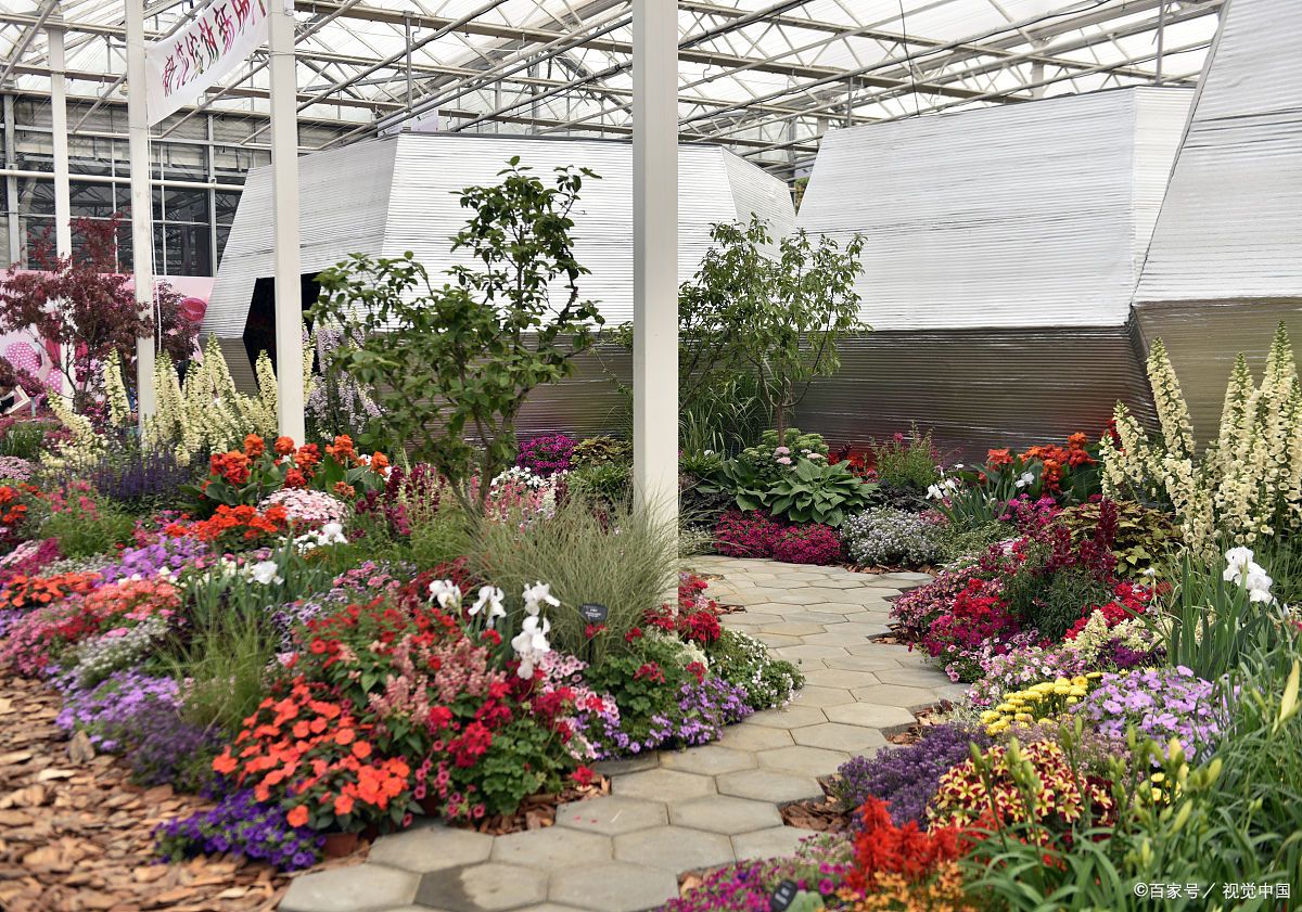 内蒙古农业大学:观赏园艺学专业的精彩画卷  在广袤的内蒙古大地上,有