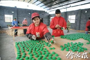 乡镇经济发展系列报道之一