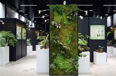 苔藓也能成景观?阴生植物展开启上海植物园秋季花展压轴大秀 快来看看吧!