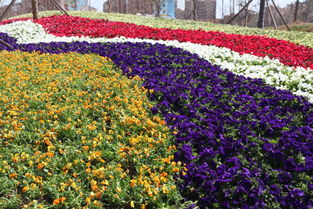 青岛世界园艺博览会随拍