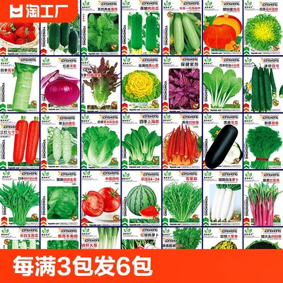 当前网购流行产品