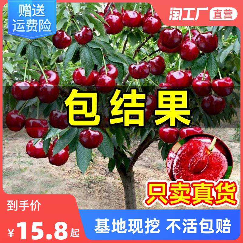 今日推荐:鲜花速递/花卉仿真/绿植园艺当前推荐产品