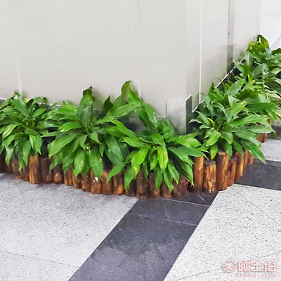 【防腐木桩围栏 碳化实木护栏园林装饰道具 家居庭院园艺木墩树桩】 - 产品库