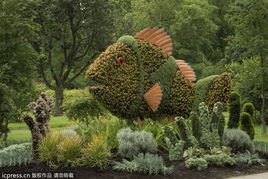 蒙特利尔园艺展 看有意思的 植物雕塑