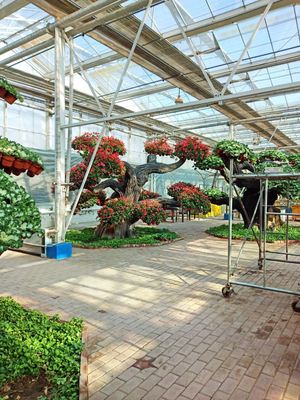 2022宁夏园艺产业园的门票及植物(开园时间+票价)