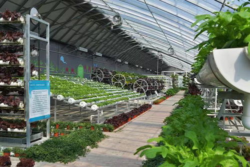 北京市延庆区 延庆乡村观光休闲游