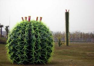 供应厂家直销仿真仙人球仙人棒仙人掌各种植物园艺景观_礼品、工艺品、饰品_世界工厂网中国产品信息库