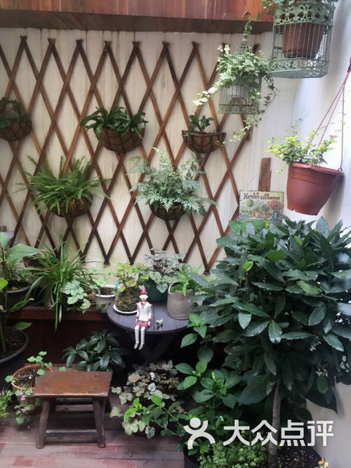 花匠蘑菇园艺咖啡