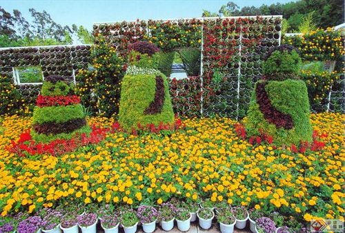 花卉园艺为 美丽福建 增姿添彩