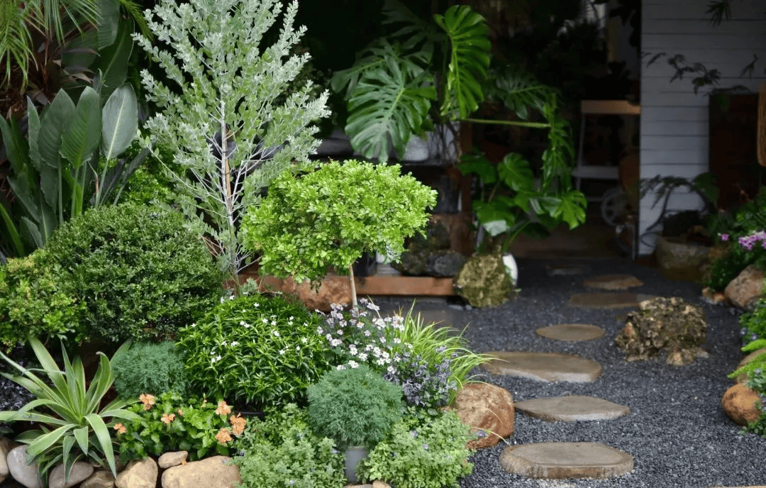 &amp;quot;和美庭院&amp;quot;微课堂③ | 庭院绿植搭配让小院变身自然系花园