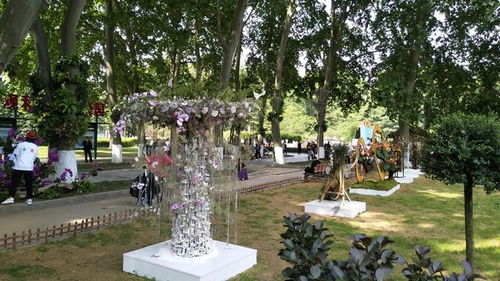 解放公园园艺展