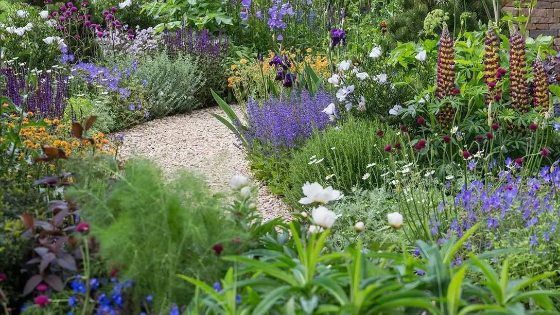 世界顶级园艺盛会:切尔西花展2017精选