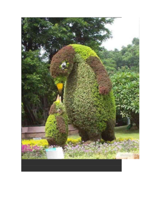 超级园艺景观设计图