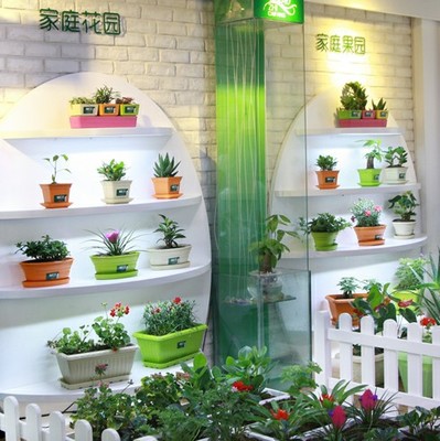 植彩坊智能园艺机产品_植彩坊智能园艺机产品图片_植彩坊智能园艺机怎么样-最新植彩坊智能园艺机产品展示