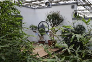 长春农博园都市园艺让人置身于世外桃源