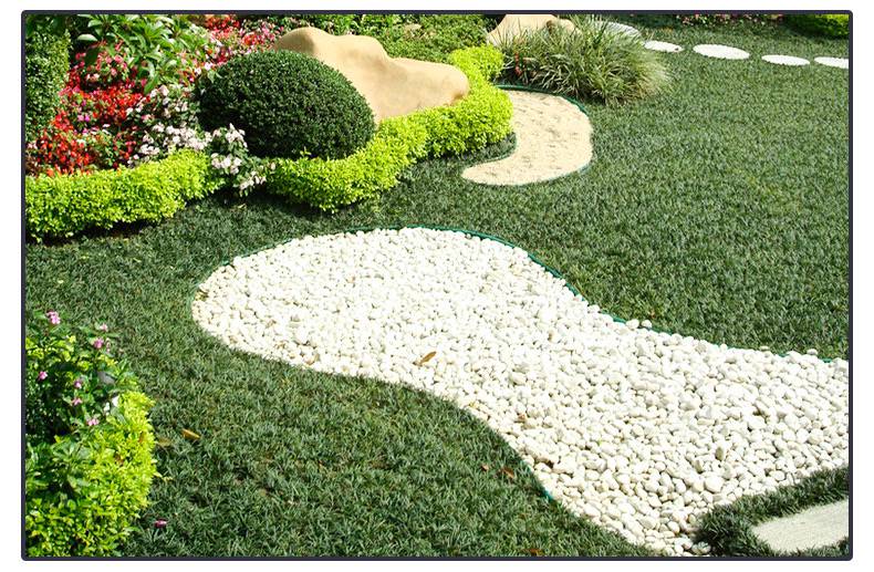 天然鹅卵石园林绿化造景石头鹅卵石庭院铺路铺地小石子