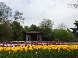 学习园艺专业该如何规划大学生活