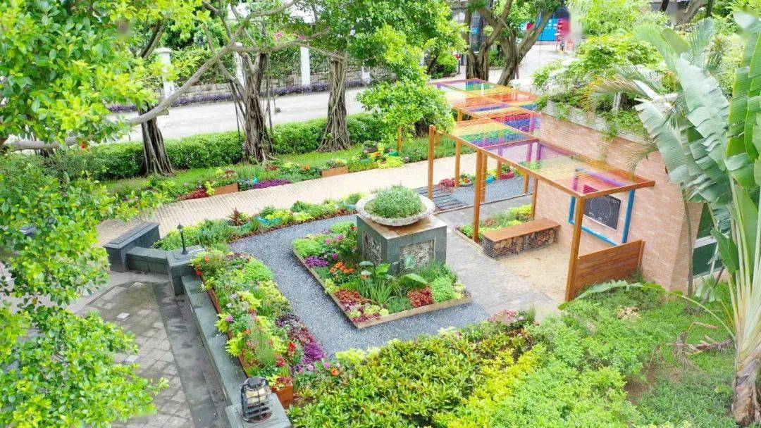 福田区社区共建花园4--益田花园点彩人家社区共建花园绚彩亮相