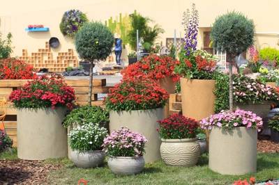 园艺成瘾,进阶致high:皇家园艺学会CEO现场解读切尔西花展