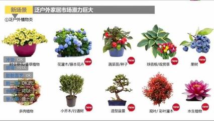 淘宝鲜花园艺线上展销会,透漏了哪些行业趋势