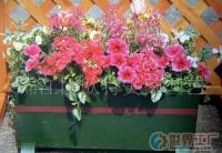 园艺制品.防腐炭化木.花盆.栅栏.[批发]_家用竹、木制品_世界工厂网中国产品信息库