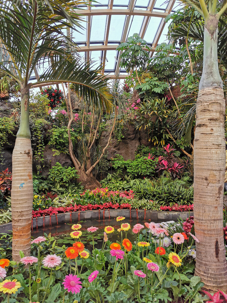 太原植物园之主题花卉馆