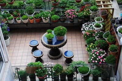 河景房15㎡露台打造“小花园”,网友:后悔没买个带露台的房子!