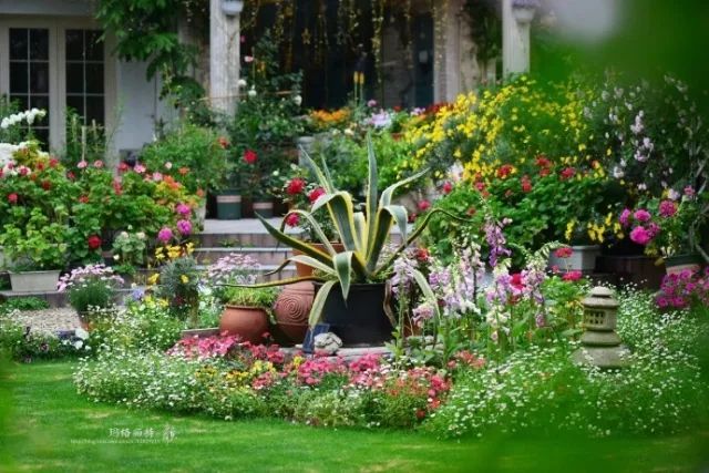 市场动态 | 2017园艺疗法与大健康产业高峰论坛将在夏溪召开