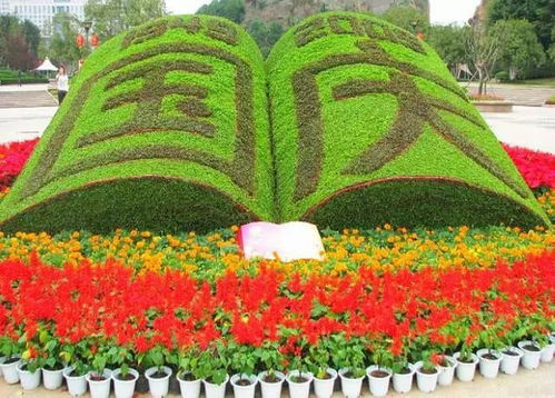 罕见的园艺欣赏,太漂亮了,快分享给朋友吧