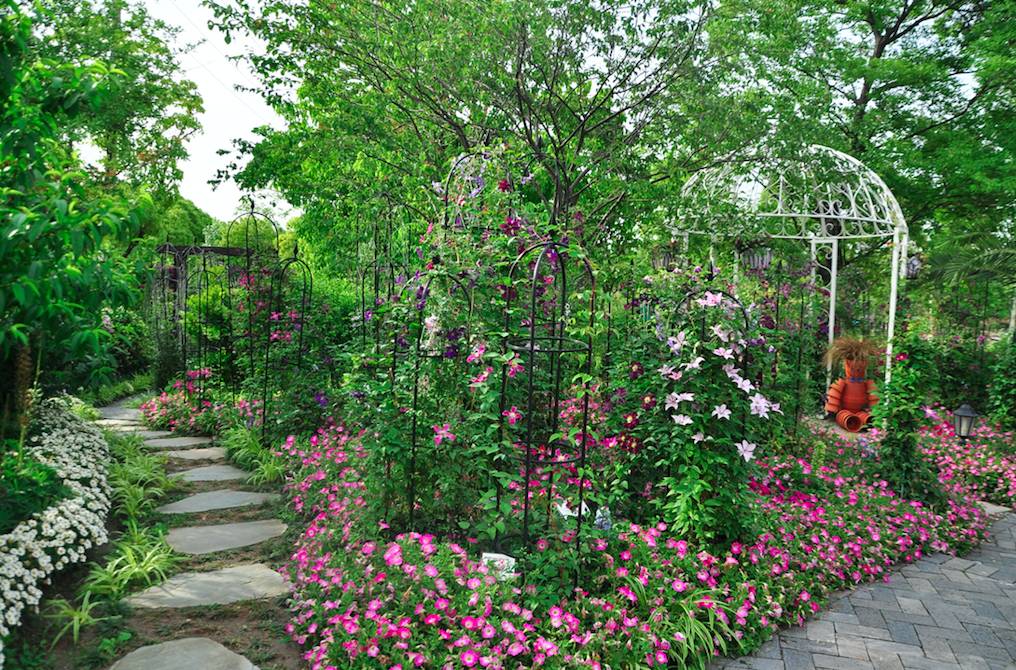 上海家庭园艺展|书香花艺,五大特色展,5月花季陪你HIGH翻天!