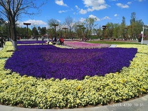 北京世界园艺博览会