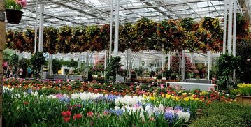 宁夏园艺产业园门票,宁夏园艺产业园门票预订,宁夏园艺产业园门票价格,去哪儿网门票