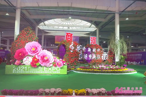 第七届济南花卉园艺博览会暨第四届济南都市农产品博览会在商河开幕