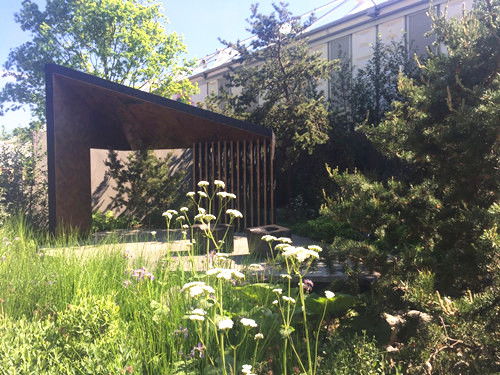 2017英国景观专业考察day3 沉醉在花的海洋 切尔西花展