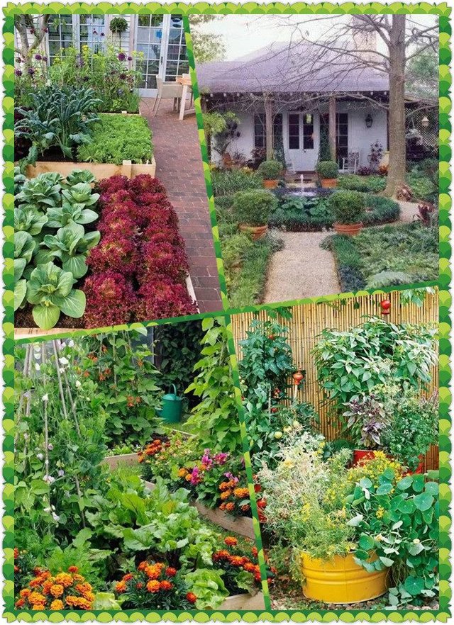 【别样设计】别墅花园变菜园后更美了