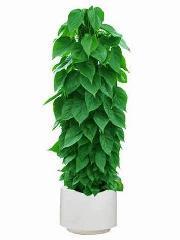 pvc园艺护栏产品供求信息图文搜索结果_一呼百应 youboy.com