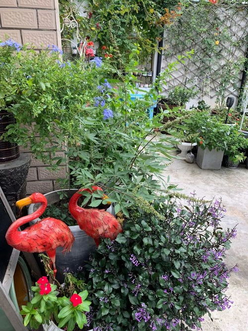 坚持生态优先发展，全区共建人与自然和谐共生的大生态园艺