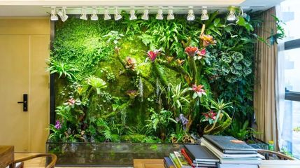 把热带雨林搬进城市——深圳主题园艺馆的生态奇遇